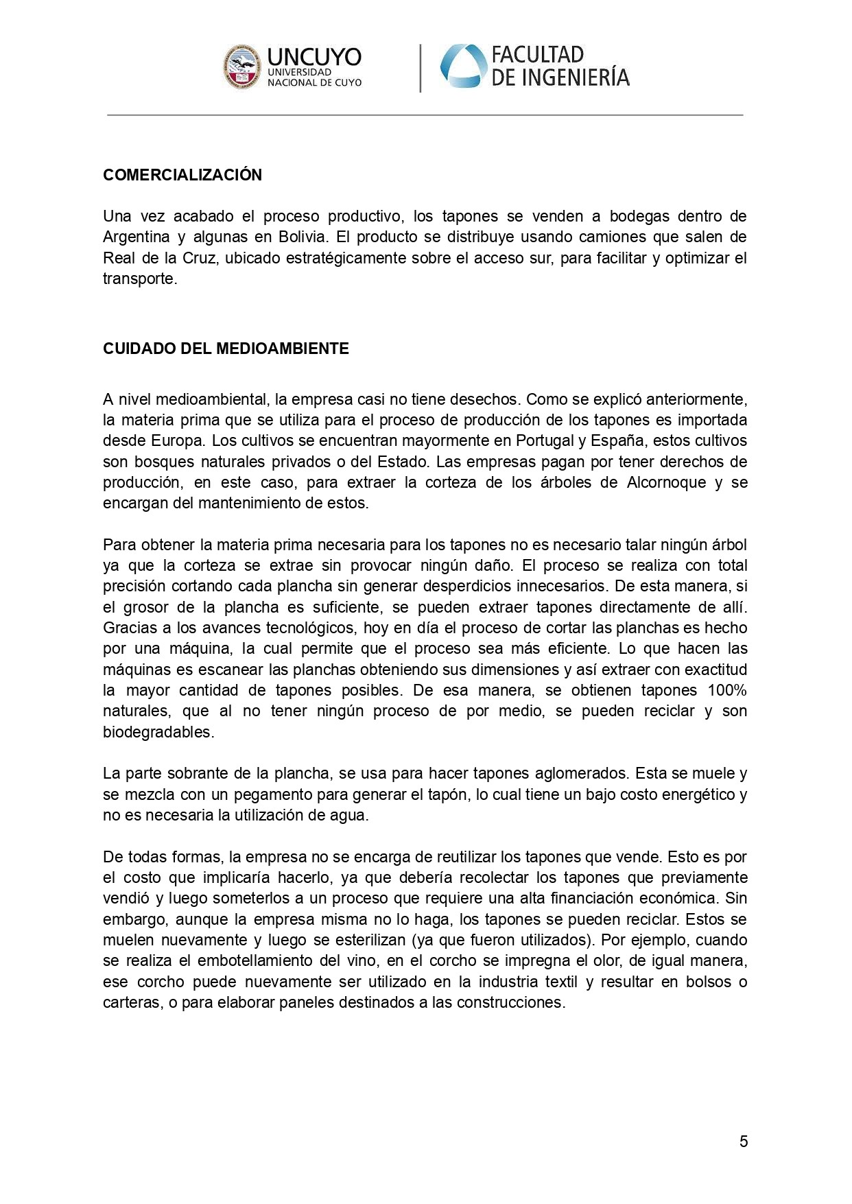 Informe Final-Introducción  (1)_page-0007.jpg